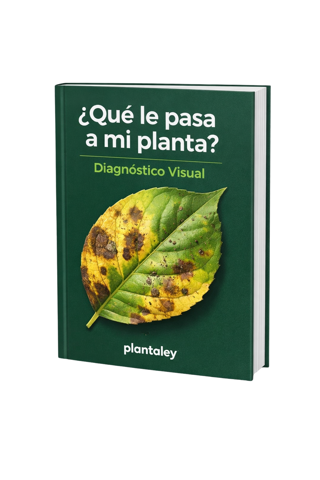 ¿Qué le pasa a mi planta? — Diagnóstico Visual